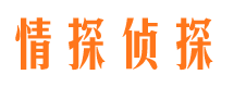 浔阳市私家侦探